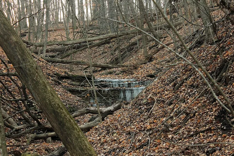 Gfp-iowa-pikes-peak-state-park-dried-stream
