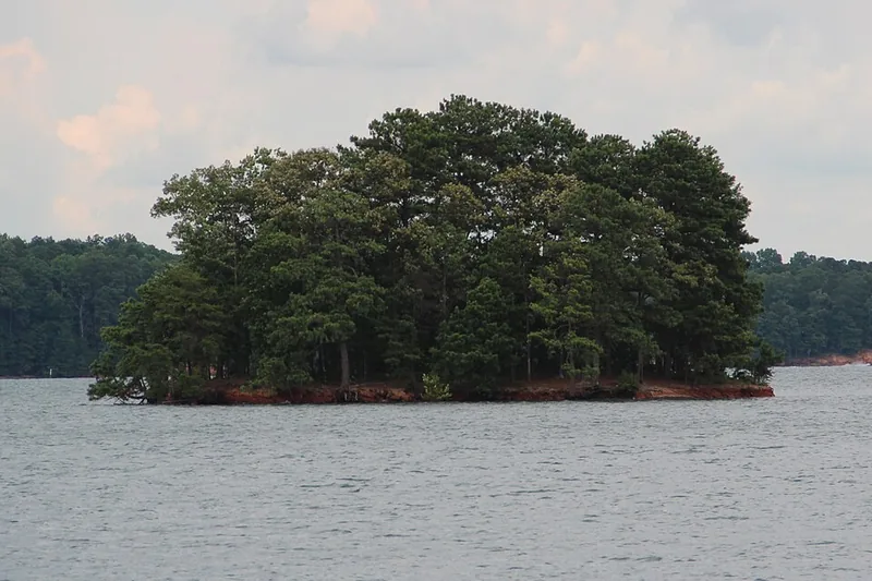 Island in Lake Lanier, July 2018, Georgia