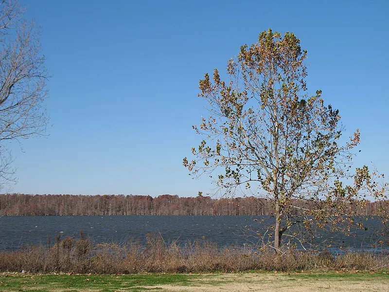 Lake Washington, Mississippi
