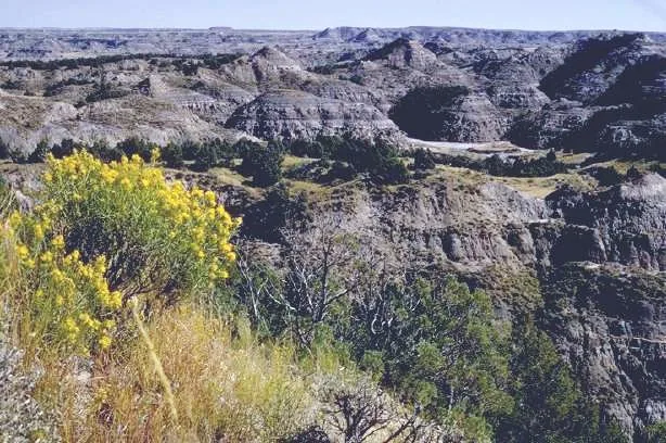 Theodore Roosevelt National Park in North Dakota with the Little Missouri River