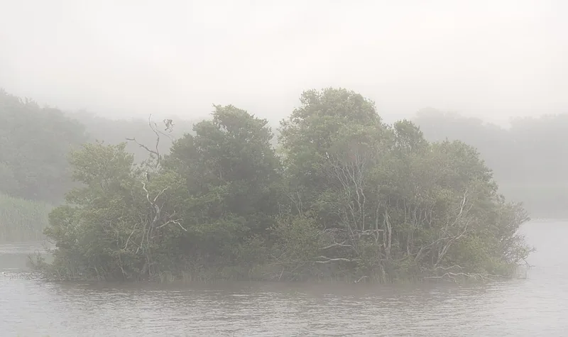 Trustom Pond in the fog, Rhode Island