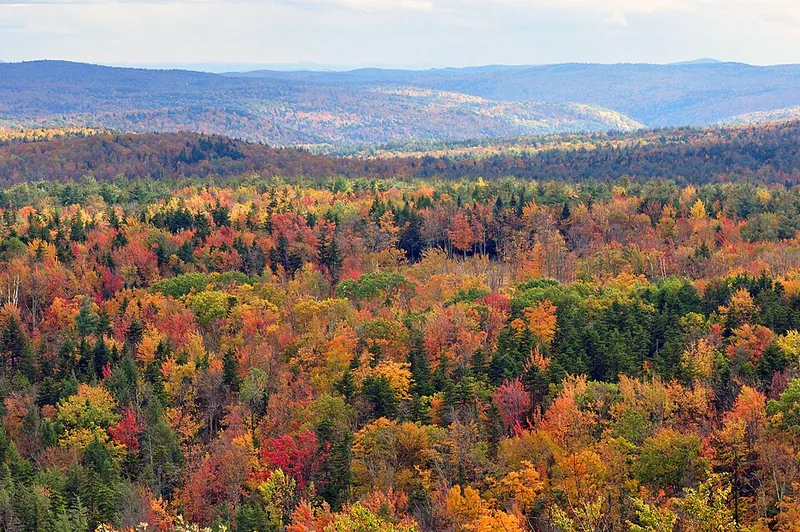 Vermont fall foliage viewed from Hogback Mountain